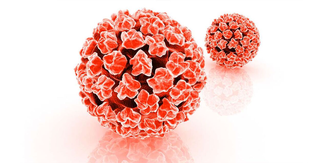 Il pericolo del papillomavirus umano