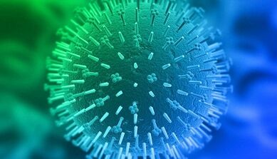 Vie di infezione del papillomavirus umano