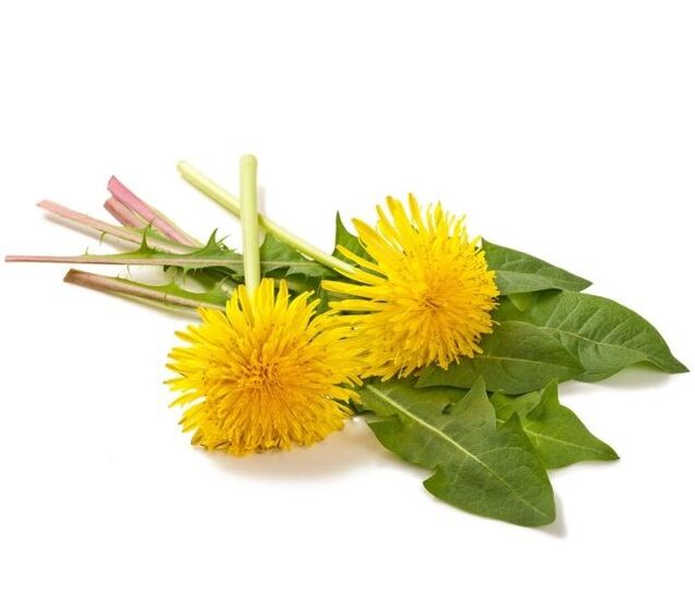 Tarassaco per cauterizzazione dei papillomi