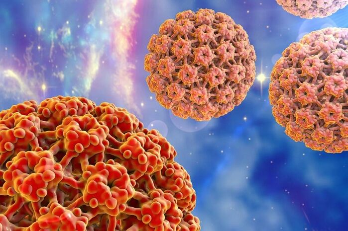 Molecola del papillomavirus umano