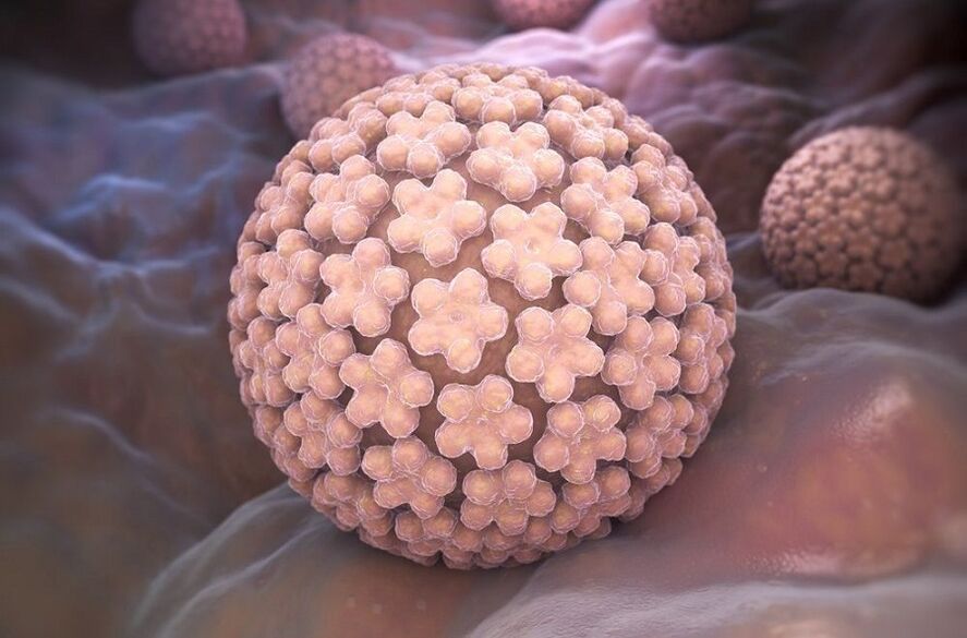 papillomavirus umano che causa le verruche